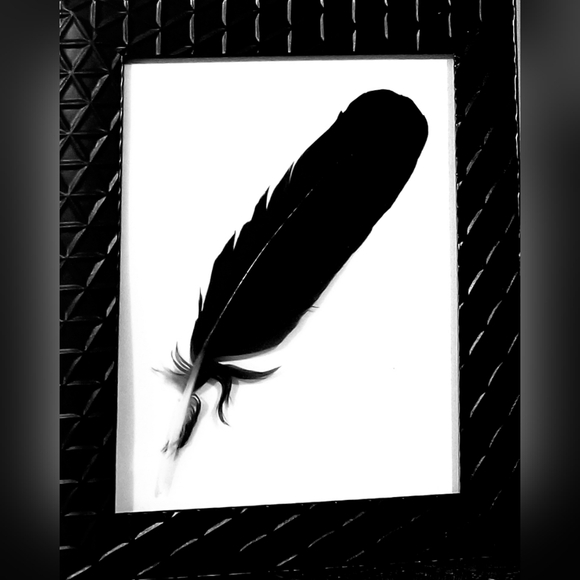 Featherart 5×7 Framed Black Feather Dtand Alone or Hang/ Black Collection - Picture 3 of 5